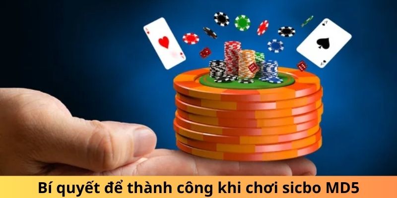 Bí quyết để thành công khi chơi sicbo MD5